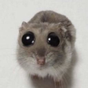 SeVienenCositas-BizarradasModpack icon