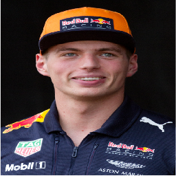 Secroecim-VerstappenJester icon