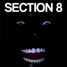 Section_8-Section_8 icon