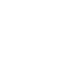 SeismicMods-LethalPhysics icon