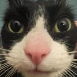 Seki-SekisModpack icon