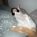 Sensho-PogfiskBoomboxMusic icon