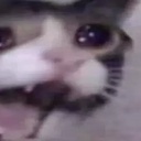 Serarelu-HelloBebsic icon