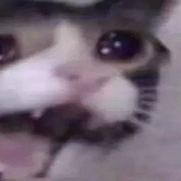 Serarelu-HelloBebsic icon