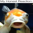 SharkoFellas-Goofy_Family_Guy icon