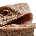 SharpieDragon94-Sharpie_REPO_MODPACK icon