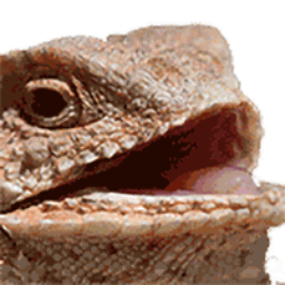 SharpieDragon94-Sharpie_REPO_MODPACK icon