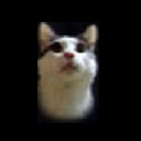 Sheltraw-SheltrawExtras icon