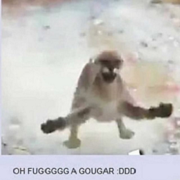 Shenmue-Shenmue_Final_Ultimate icon