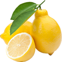 ShigRig-ezpzlmnsqz icon