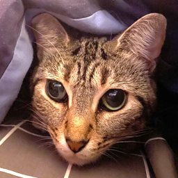 ShivamIndustries-ShivamIndustryModpack icon