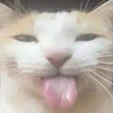 SillyCrew-Silly_goose_modpack icon