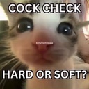 SillySlayers-ChartieWartie icon