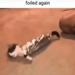 Silly_Gamers-Silly_Gamers icon