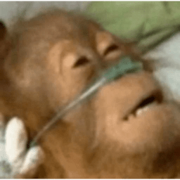 Silux-Terrible_Boombox icon