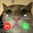 Silverr-Lethal_Retards icon