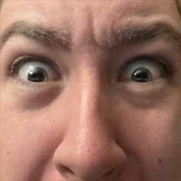 Simmianmods-Max_Suit icon