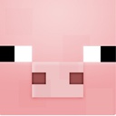 SkillersLeague-SkillersLeague_Modpack icon