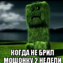 Skipsik-Picunf6Ru icon