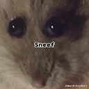 Skrubaru-lotofshishi icon