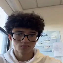 Skylixerz-Stupid_modz icon