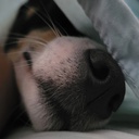 SkypeGroup-AdvercarialMods icon