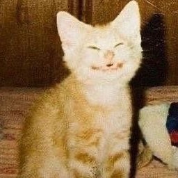 SlapaThot-Largest_Modpack_Quality_of_Life icon