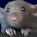 SleepyBoi-Rat_Gang_Scrap icon