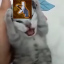 Slendykray-ScannerAtWill icon