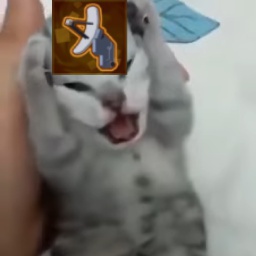 Slendykray-ScannerAtWill icon