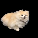 Slobberymist-VanillaPlusLC icon