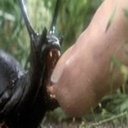 Sluggymon-Lethal_Slugs icon