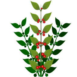 Smoothbrain-Foraging icon