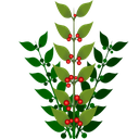 Smoothbrain-Foraging-1.0.9 icon