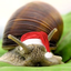 Snowlance-SoThisIsImmortalSnail-1.0.1 icon