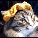 Sofus-Sofus_Company icon