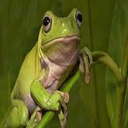 SomeWhaterHootin-GiveMeThat icon