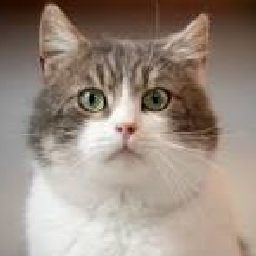 SonicFan19-Kitty_Suit icon