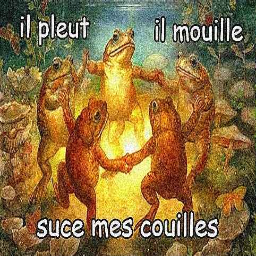 Sonilink-De_la_merde_de_la_grosse_merde icon