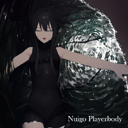 Sora101Ven-Nuigo_PlayerBody icon