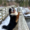 SortOfFriends-JuicyMod icon