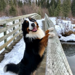 SortOfFriends-JuicyMod icon