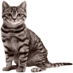 Sossic-NateBallsMOD icon