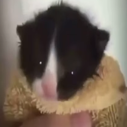 Sourca-ThrowableObjects icon