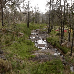 Soviet_Guild-Folk_and_Indie icon