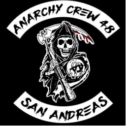 SpaceCatTeam-LethalAnarchyCrew icon