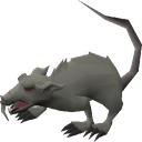 Spaggity-Rats_Boombox icon