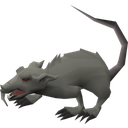 Spaggity-Rats_Custom_Paintings icon