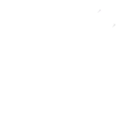 Sparroh-DescriptionOverride icon