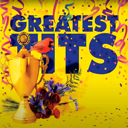 SpeederShip-BallsHangLow_DropShip_Iris_and_Rose icon